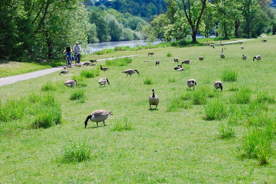 Radtour Ruhrgebiet Radrevier Ruhr NRW