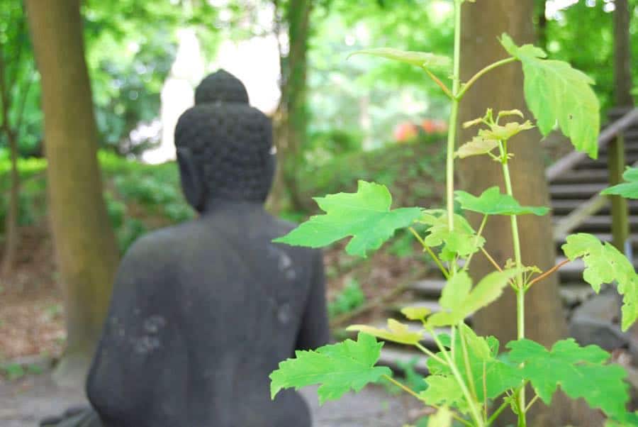 buddhistischer garten