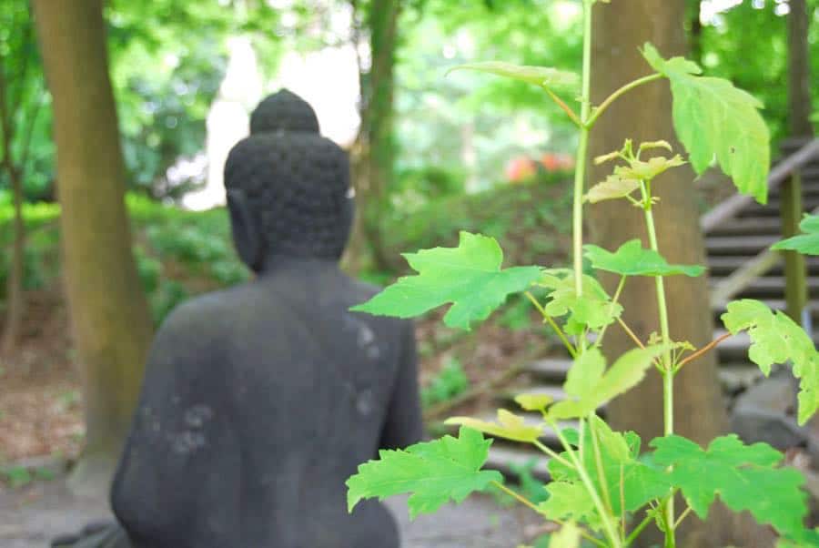 Buddha Garten