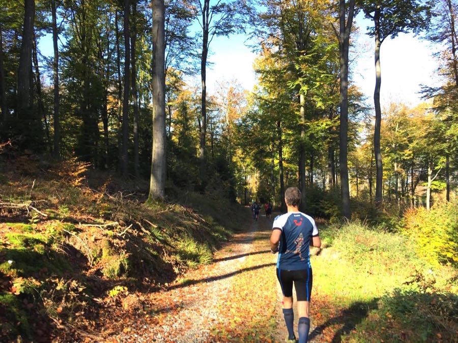 Strahlenburgtrail Schriesheim Trailrunning Bergstraße Strahlenburgtrail Schriesheim Trailrunning Bergstraße