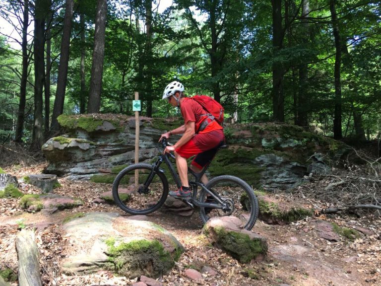 Singletrail miltenberg