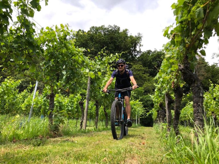 Singletrail miltenberg