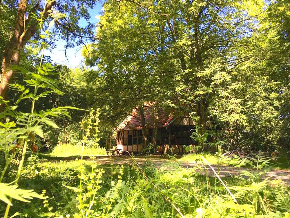 Nationalpark Hainich Wandern Radfahren