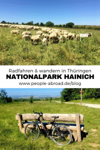 Werbung / Radfahren und wandern im Nationalpark Hainich #Nationalpark #Reiseinspiration #Deutschland #Thüringen #Reise