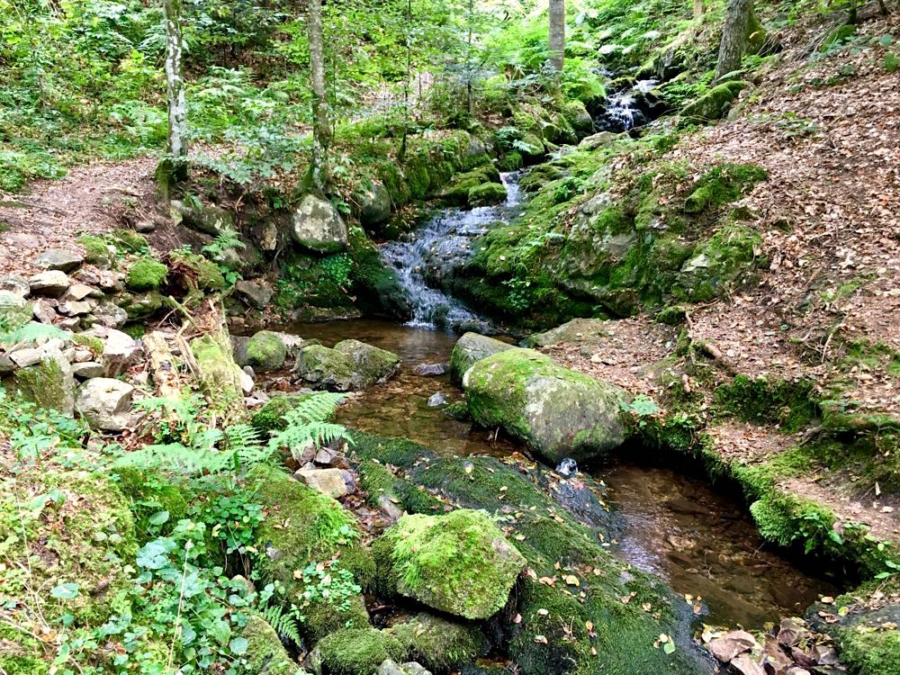 Hochschwarzwald Lebküchlerweg Wandern Todtmooser Wasserfall