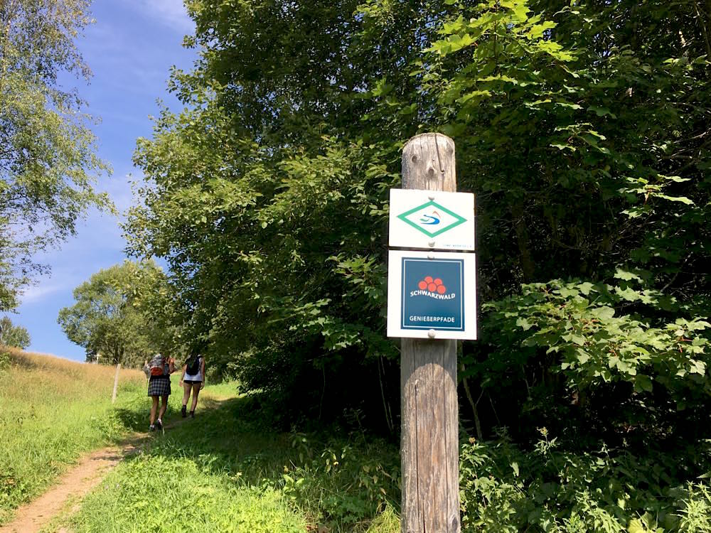 Südschwarzwald Wandern Ibach Panoramaweg