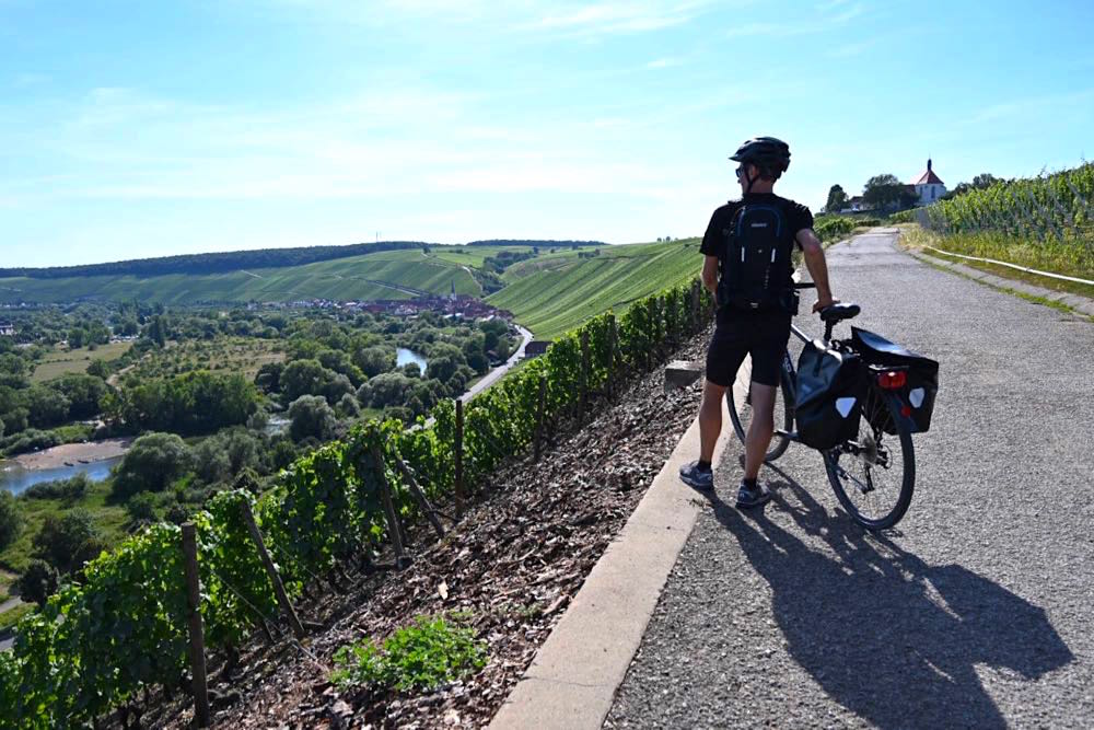 Mainradweg Radtour Main Fränkisches Weinland Franken Volkacher Mainschleife