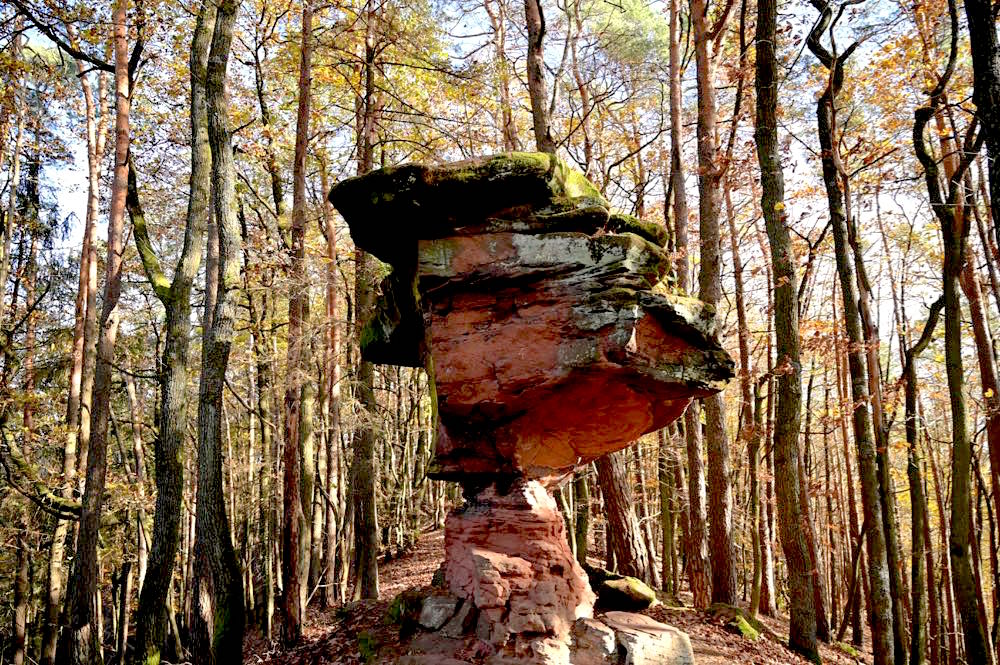 Geiersteine Tour Wanderung Pfalz Rundweg Felsen