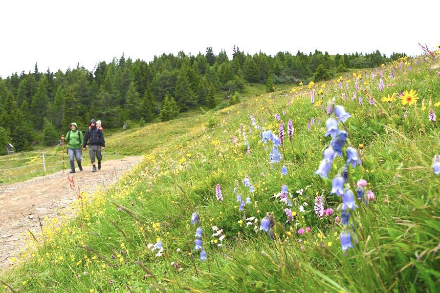 Weg der Liebe Wanderung Alexanderalm Millstatt