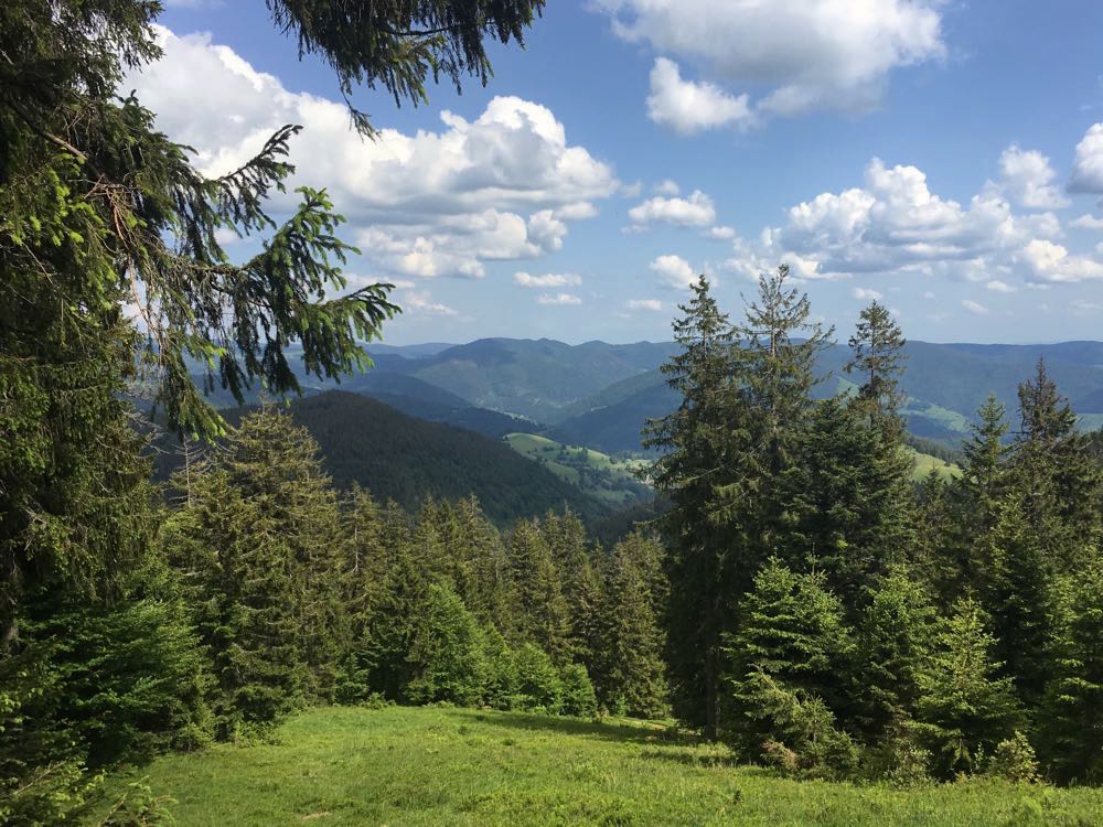 ausflugsziele schwarzwald nationalpark schwarzwald - Ausflugsziele Schwarzwald: Infos, Tipps & Highlights