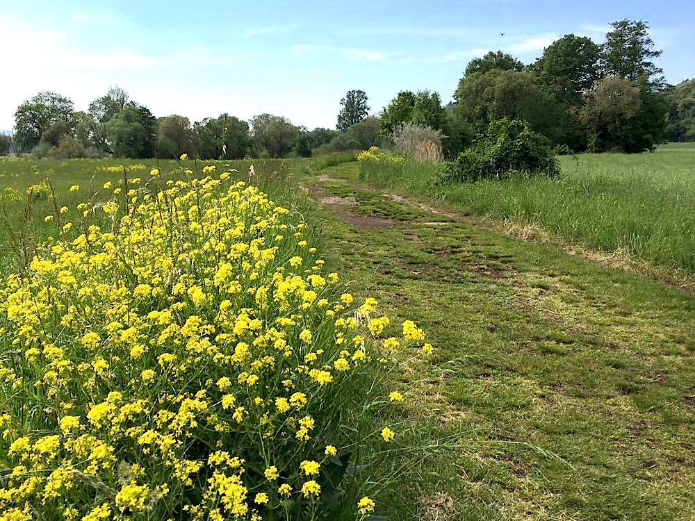 Barfußpfad Bad Sobernheim