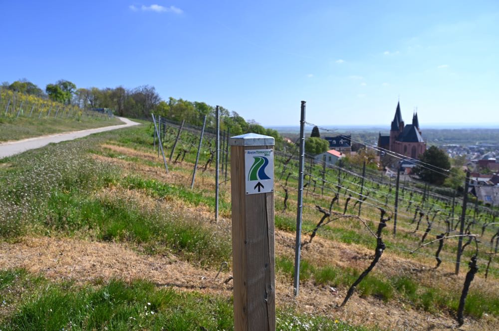 Sehenswürdigkeiten Ausflugsziele Rheinhessen