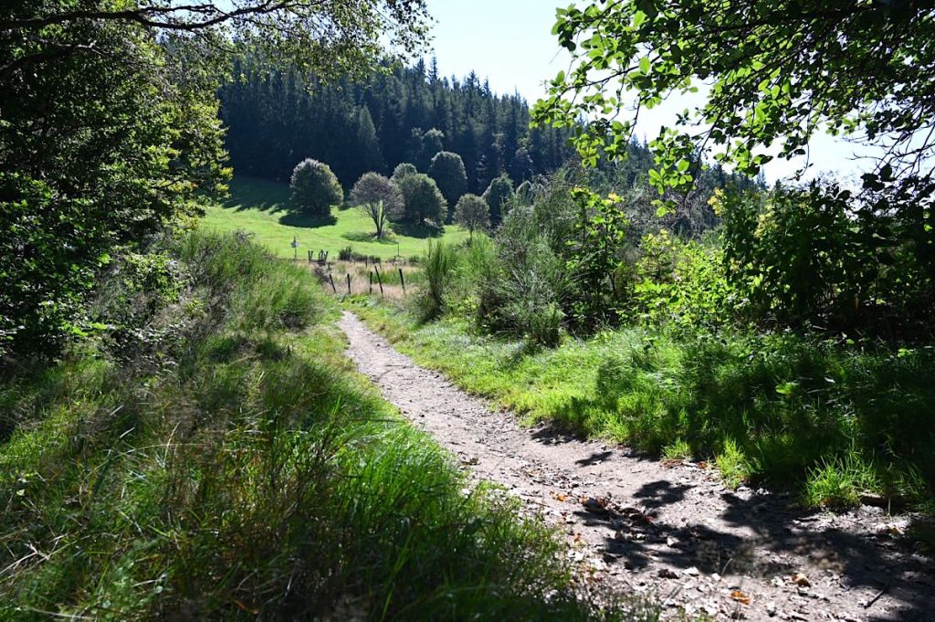 Grand Ballon Wandern Elsass Vogesen Guebwiller