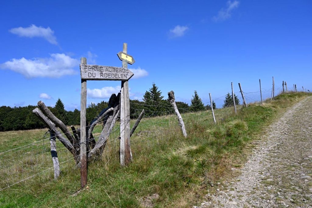 Grand Ballon Wandern Elsass Vogesen Guebwiller