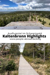 Kaltenbronn im Schwarzwald ist ein schönes Ausflugsziel für die ganze Familie. Wildsee, Hochmoor, Hohloturm und verschiedene Wege lohnen sich für einen Besuch.