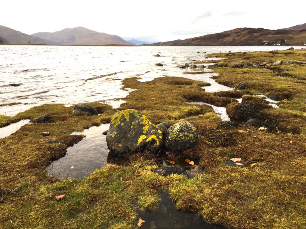 Schottland Highlands See Insel Loch Natur