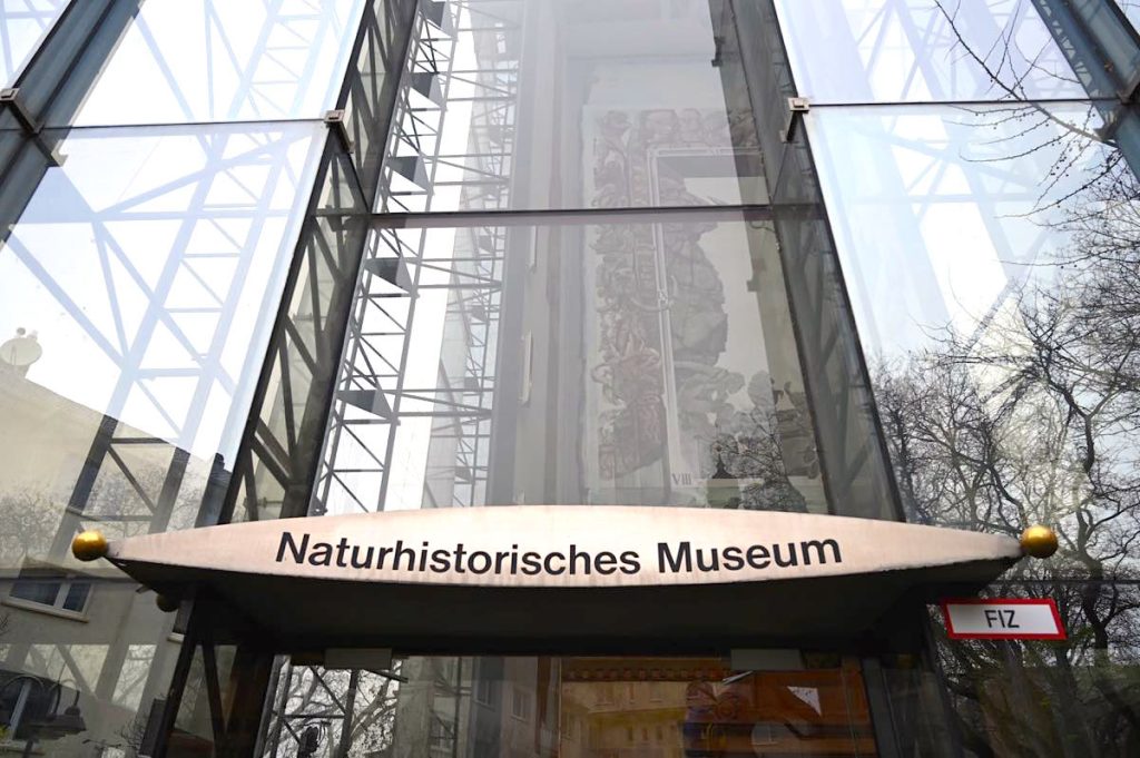 Naturhistorisches Museum Rheinland Pfalz