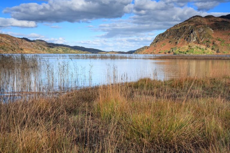 Ring of Kerry: 10 Tipps für Irlands berühmte Ringstraße - People Abroad