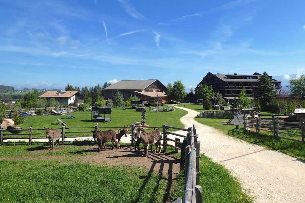 eggental eisathhof suedtirol nachhaltig reisen 2 1024x683 - Südtirol: Nachhaltig Reisen im Eggental - Basics & Einblicke