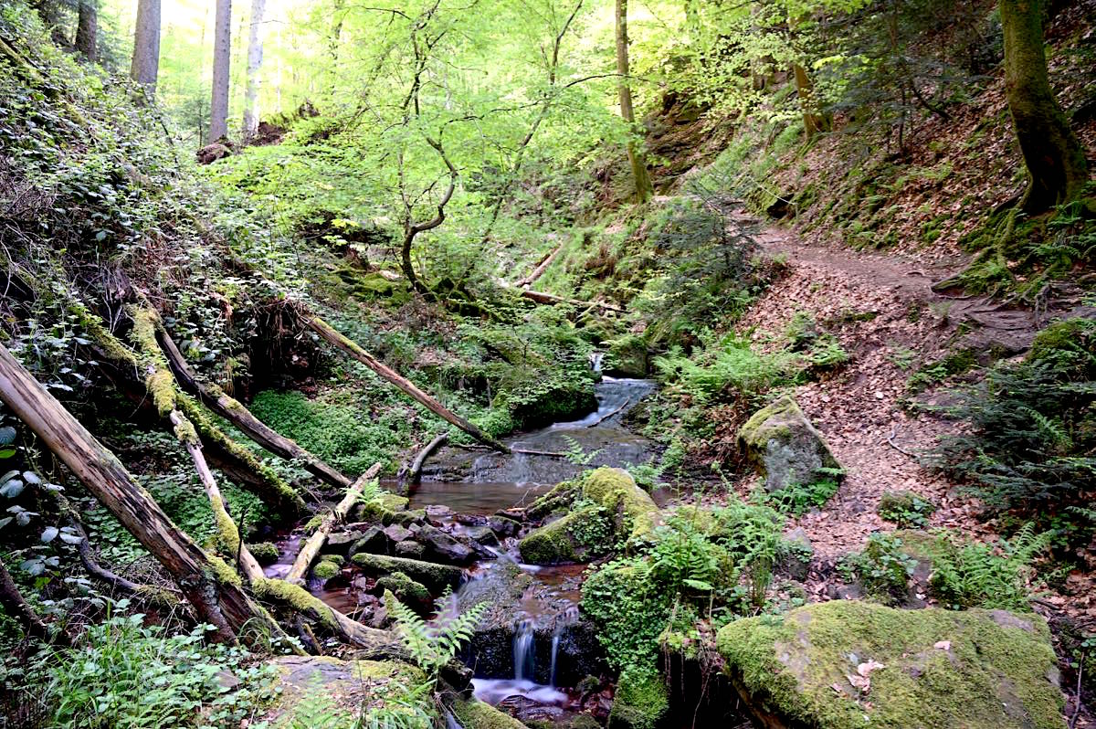 Wolfsschlucht Zwingenberg Wanderung im Neckartal People Abroad