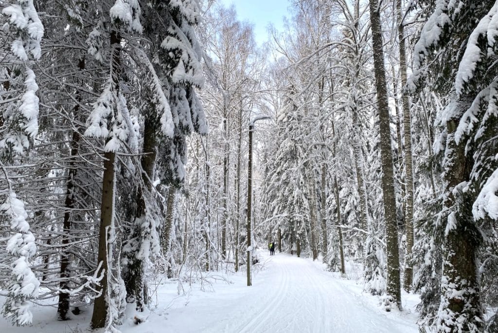 Winter in Finnland Langlaufen