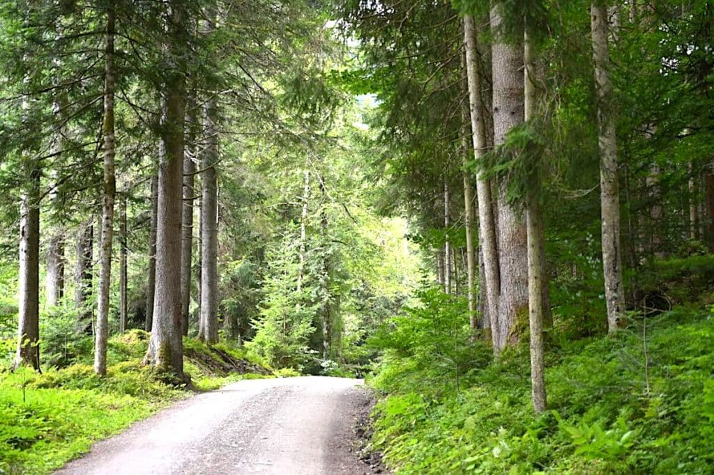 Tirol wandern Brixental