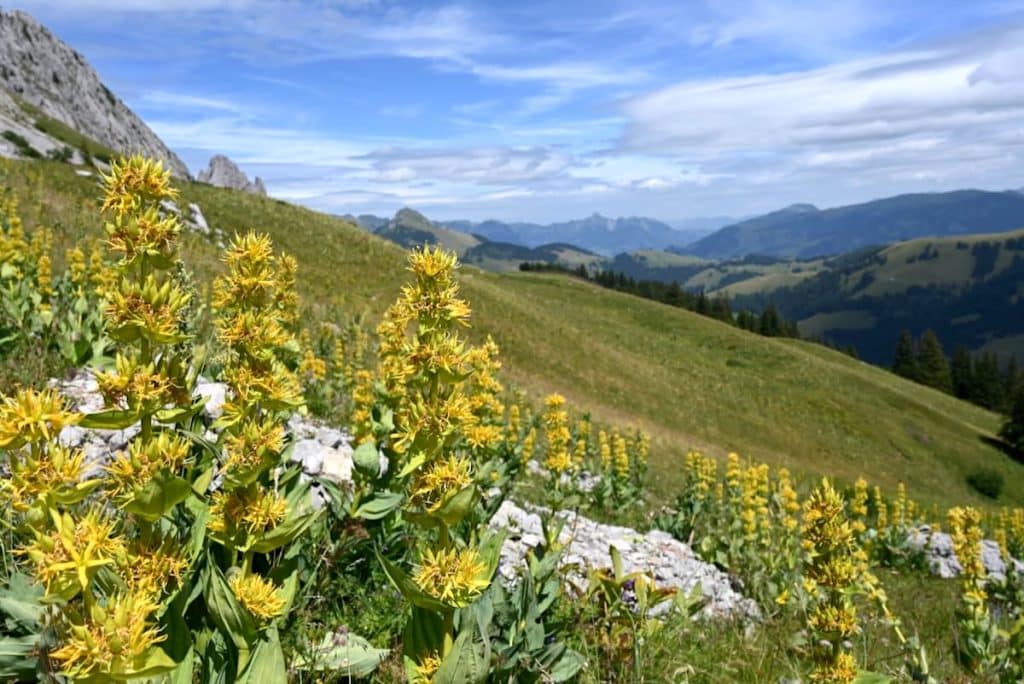 Gastlosen Tour Wandern Jaun