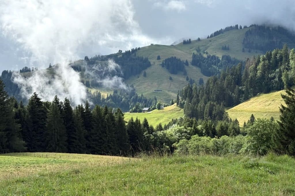 Gruyères Schweiz Wandern Pfad der Käsereien