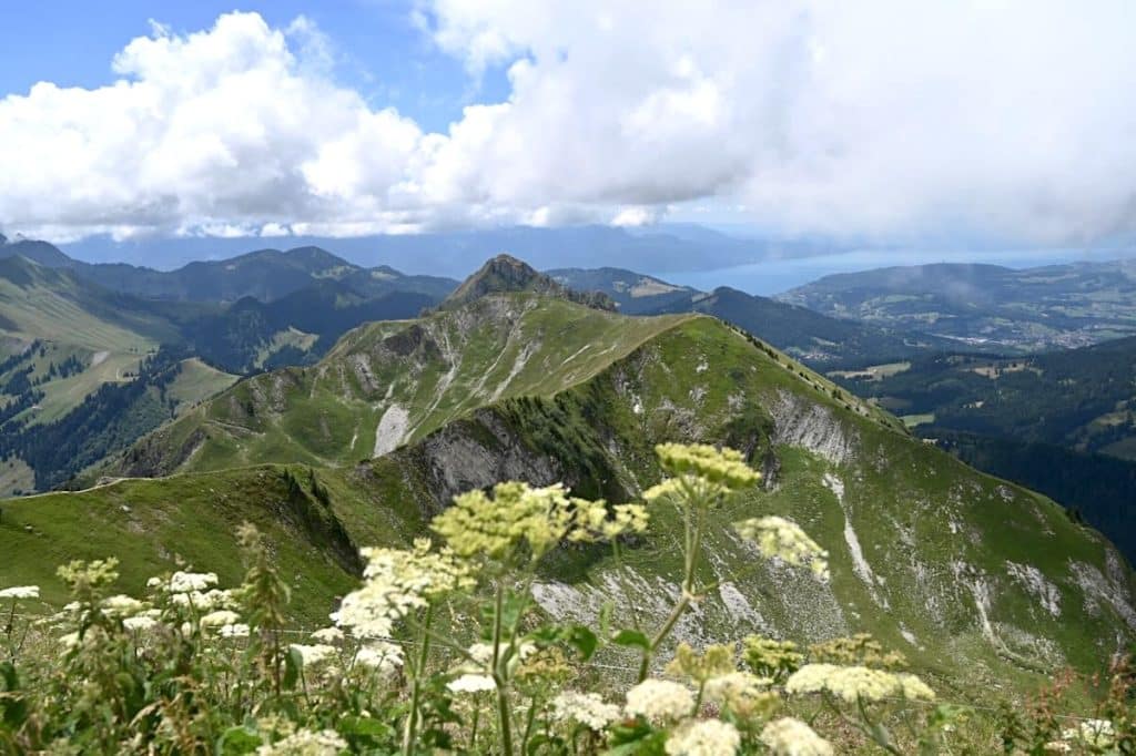 Gruyères Moléson Wandern Tipps