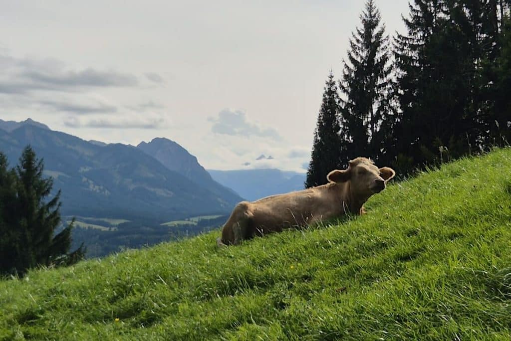 Burgberg Allgäu Urlaub Wandern Radfahren
