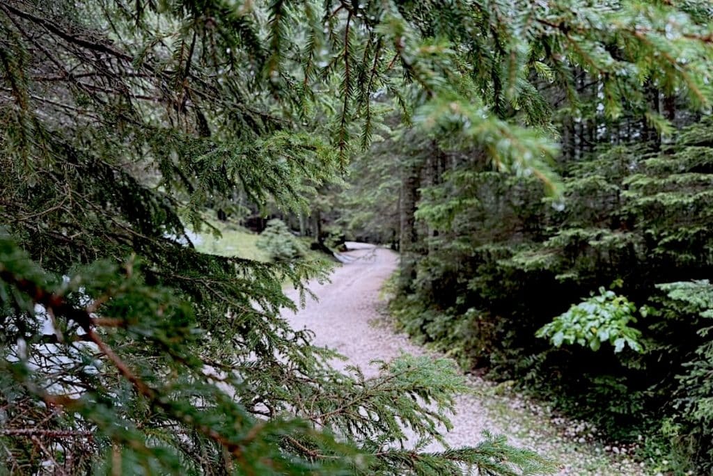 Durmitor Nationalpark Wandern Touren Tipps