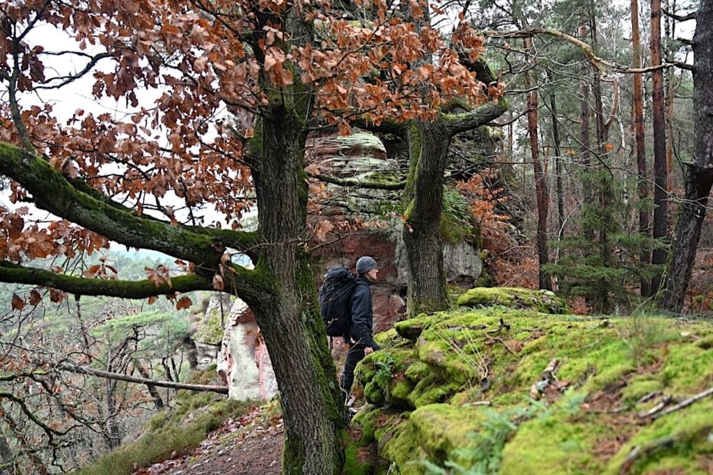 Gregory Baltoro 75 Liter Rucksack Reise Outdoor Trekking