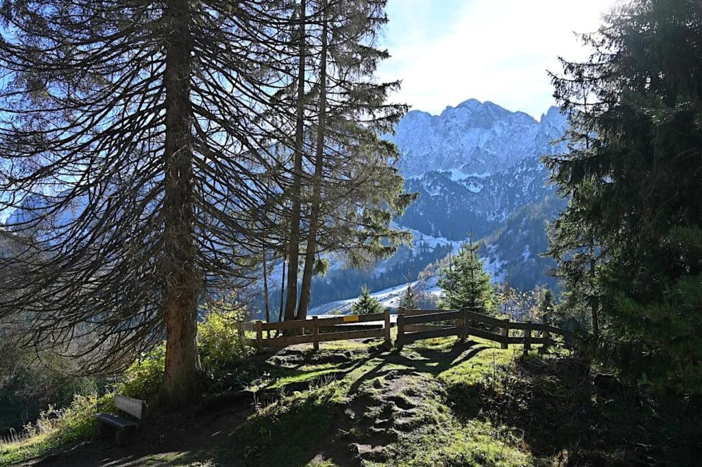 Brentenjoch Wandern Tirol