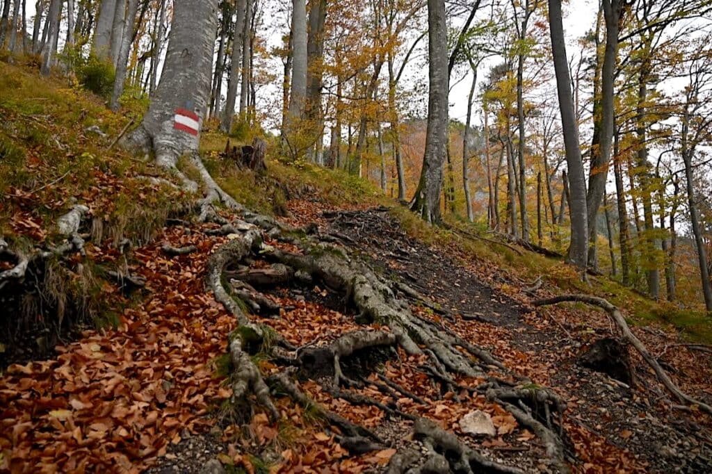 Kufsteinerland Wandern Tirol Wanderwege Tipps