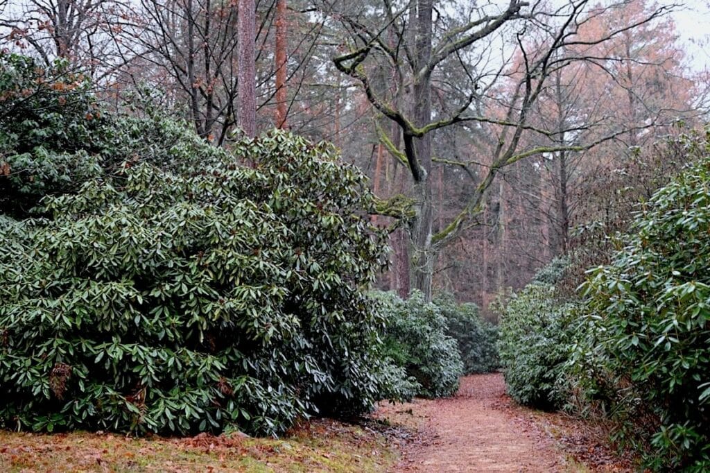 Görlitz Oberlausitz Winter Weihnachten Sachsen Reisen Urlaub Tipps