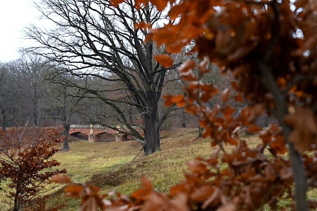 Neißeland Fürst-Pückler-Park Bad Muskau