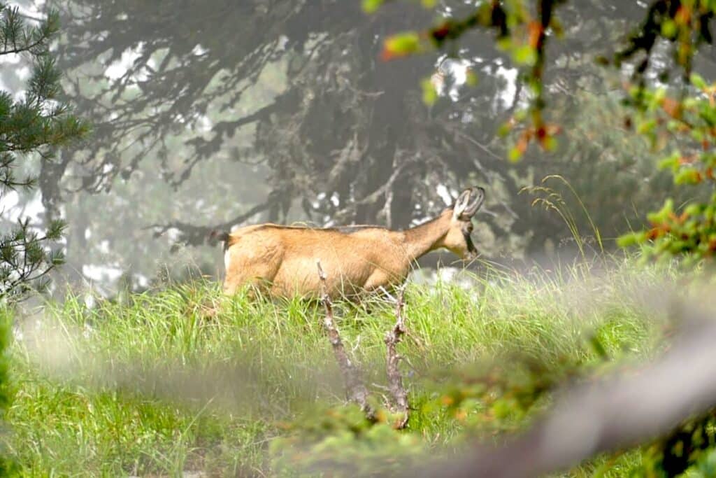 Schweiz Tour Natur Landschaft