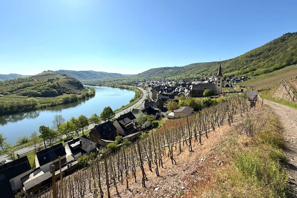 Calmont Klettersteig Bremm Mosel Wanderung