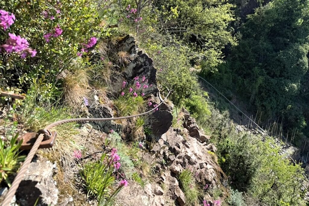 Calmont Klettersteig Bremm Mosel Wanderung