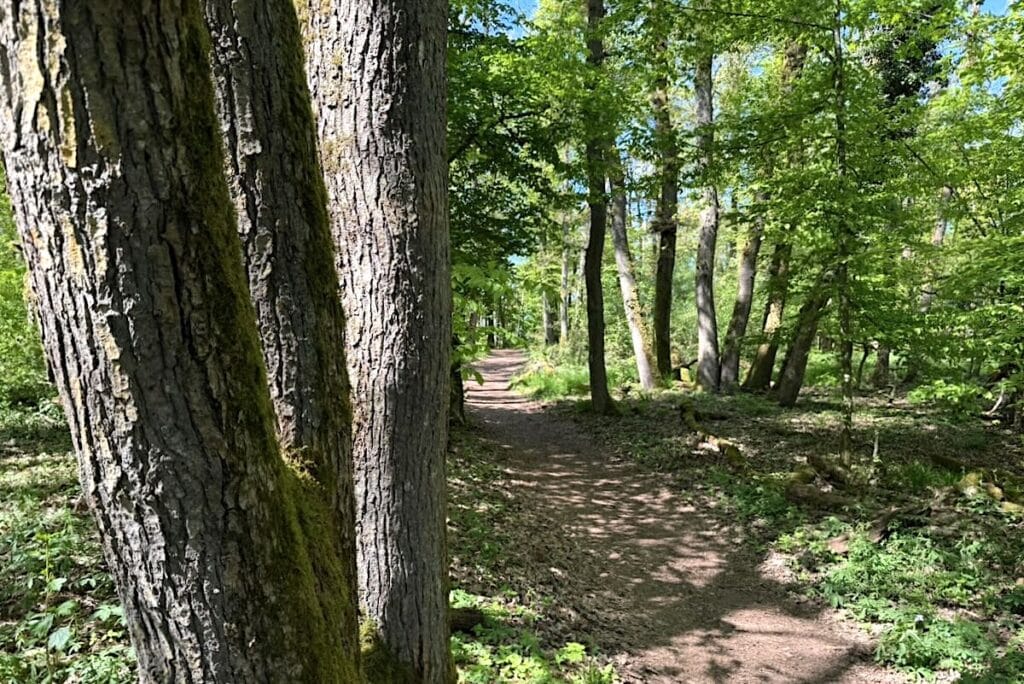 Höhenweg Mosel Wanderung