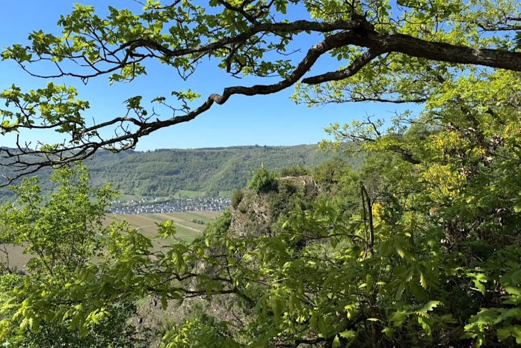 Calmont Höhenweg Mosel Wanderung