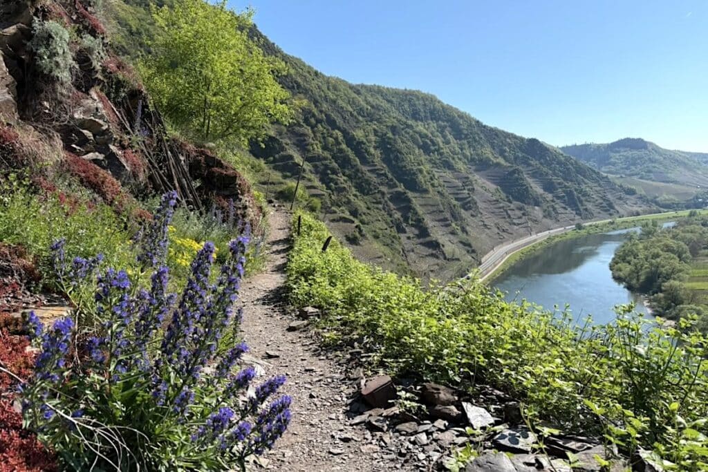 Mosel Wanderung
