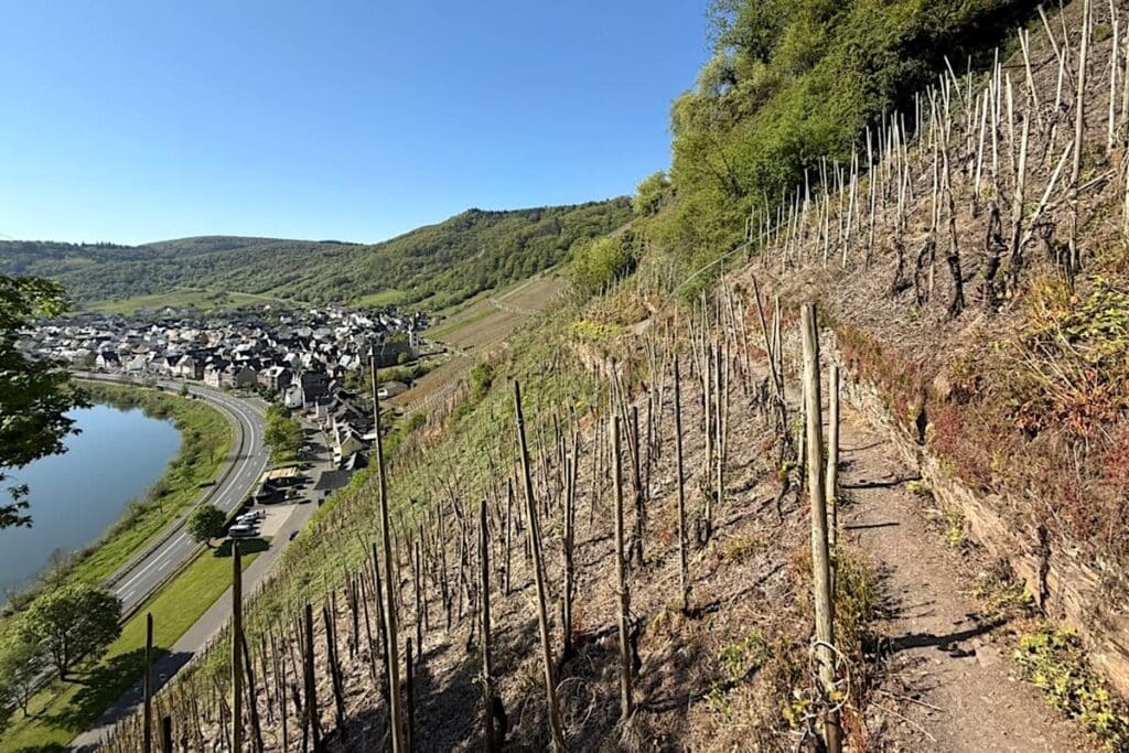 Calmont Klettersteig Bremm Mosel Wanderung
