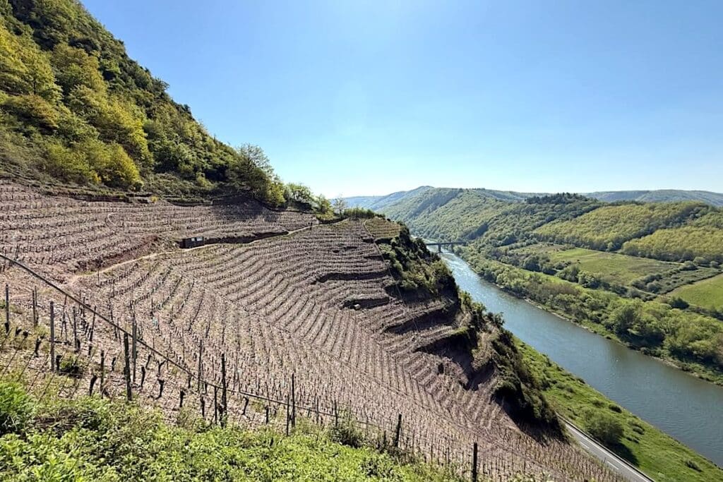 Calmont Klettersteig Bremm Mosel Wanderung