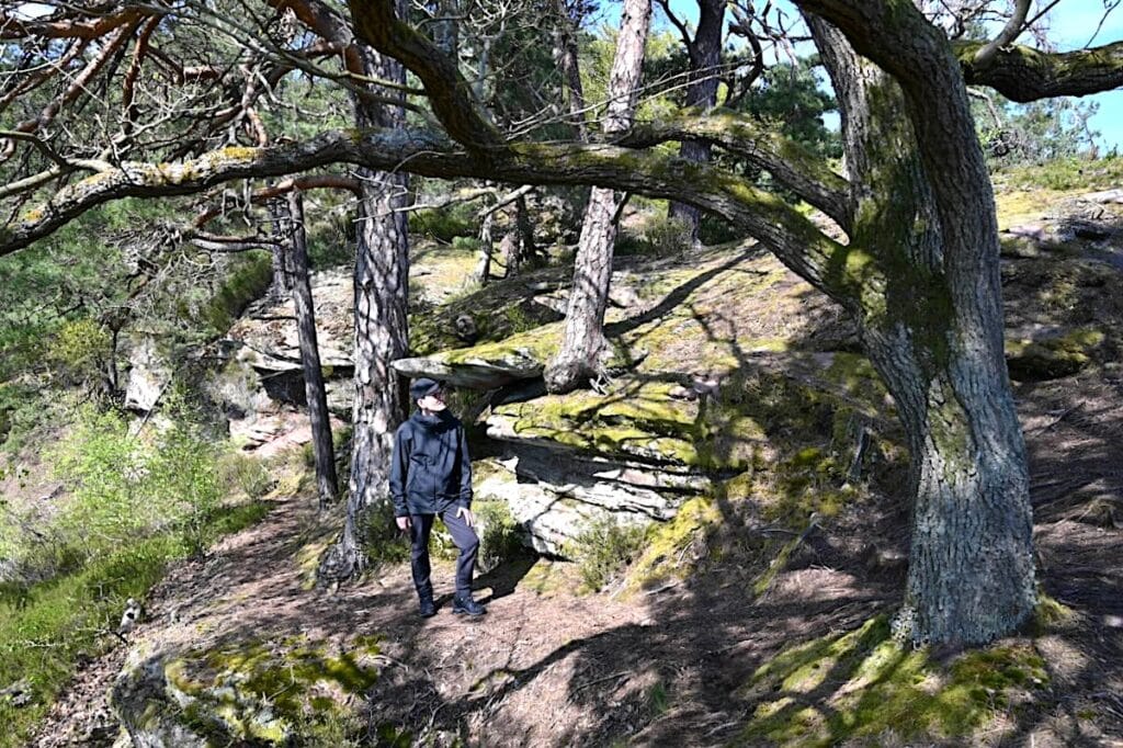 Vaude Neyland Wanderjacke Regenjacke