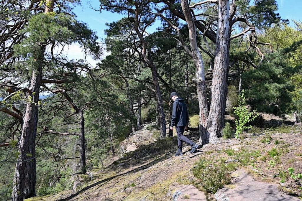 Vaude Neyland Wanderjacke Regenjacke