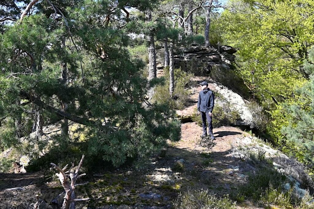 Vaude Neyland Wanderjacke Regenjacke