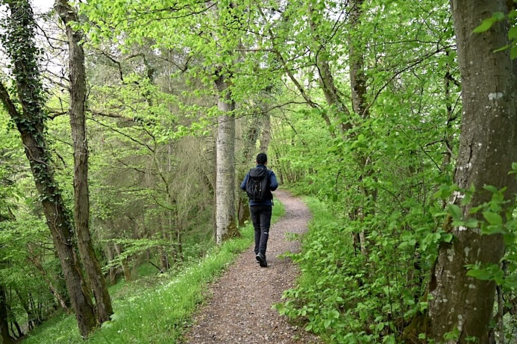 Moselsteig Cochem Wandern Mosel Wanderwege Touren Tipps