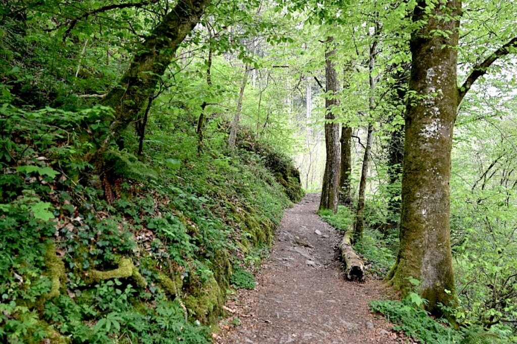 Burg Eltz Mosel Rundweg Tipps