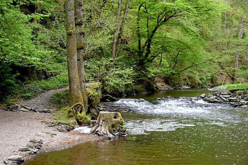 Moselsteig Cochem Wandern Mosel Wanderwege Touren Tipps